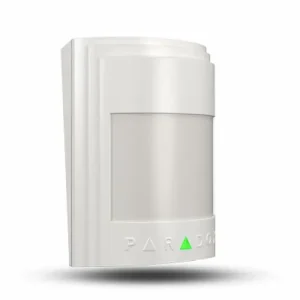 paradox amnixe